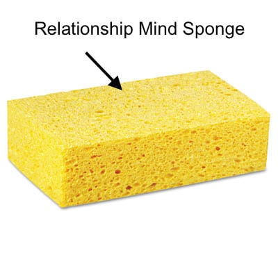 sponge