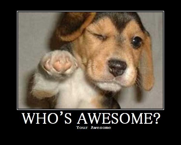 your awesome